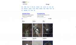 Google Earth